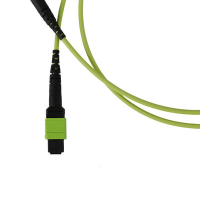 50/125 OM5 Mpo Fiber Jumper Mtp Mpo Fiber Patch Cable 3.0mm PVC