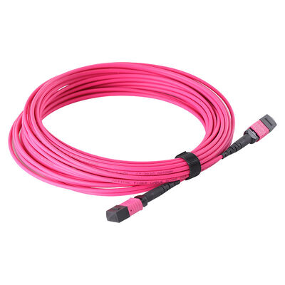 12/8/24 Fibers MPO to MPO OM3 Multimode Fiber Optic Patch Cord