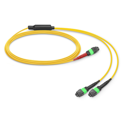 24 ядра МТП патч кабеля Mpo Fiber Patch кабеля SM OS2 с LSZH наружной курткой