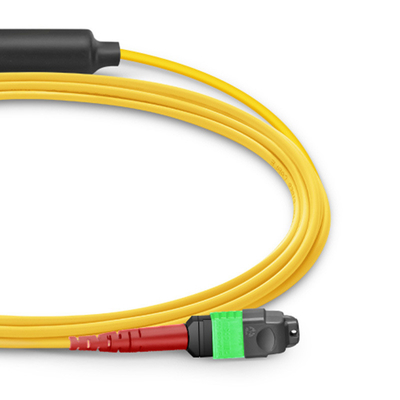 24 ядра МТП патч кабеля Mpo Fiber Patch кабеля SM OS2 с LSZH наружной курткой