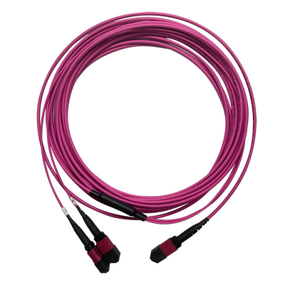 50/125 OM4 MM MPO Patch Cord 24F 3,0 мм ПВХ с высокой плотностью
