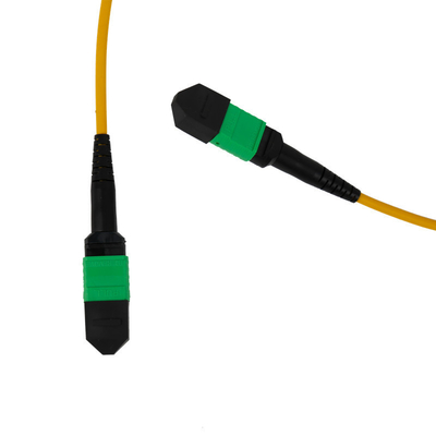 12F MPO Patch Cord 3mm LSZH Out Jacket PVC OFNR Внешний для сети